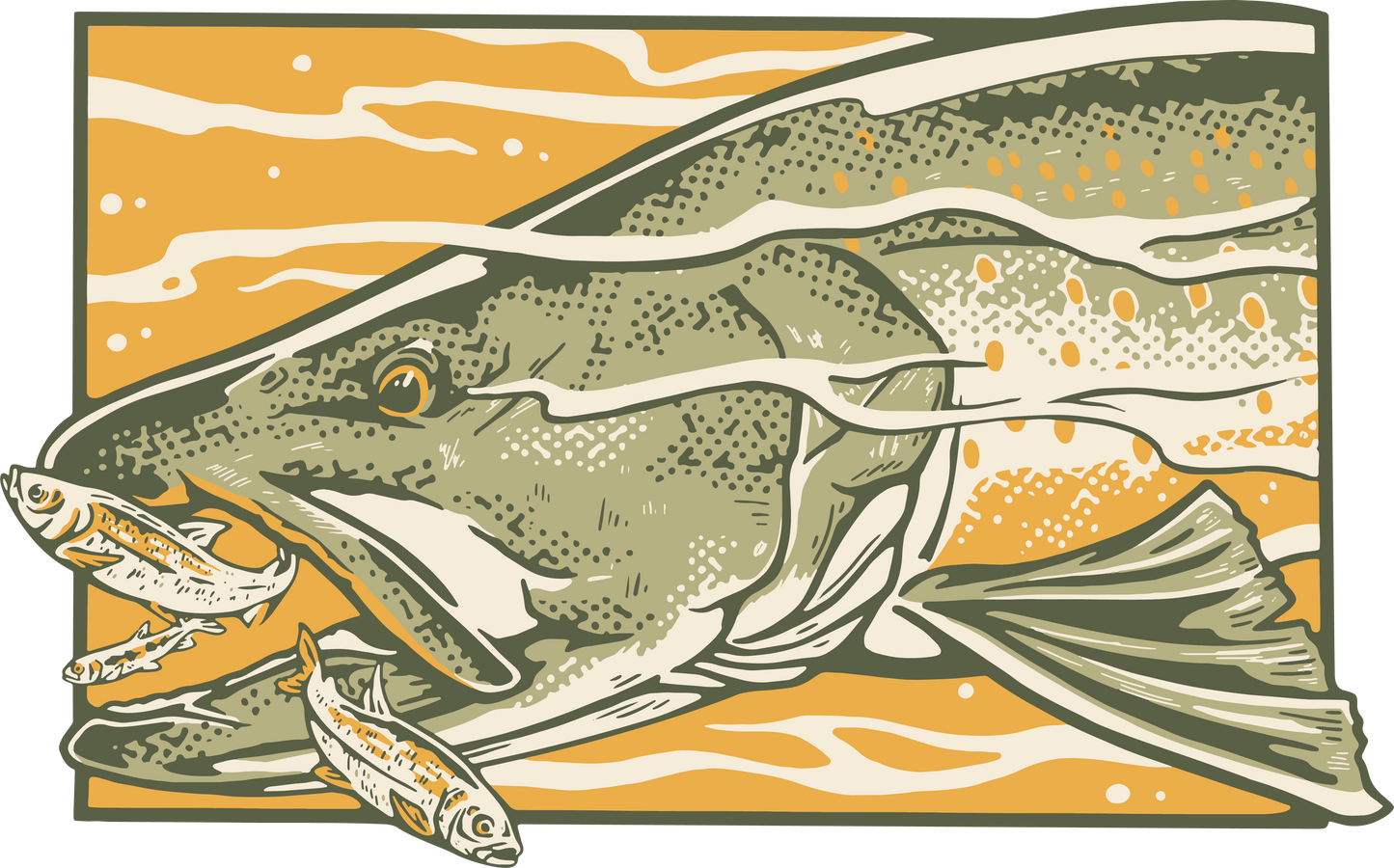 Bull Trout