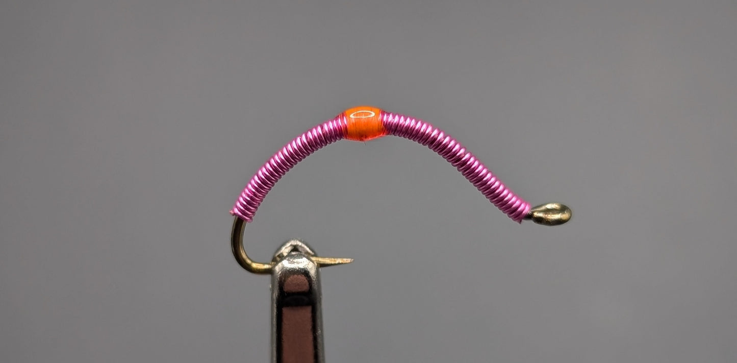 Pink Wire Worm