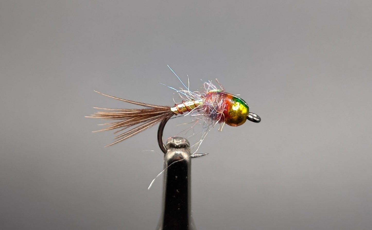 Rainbow Warrior Variation