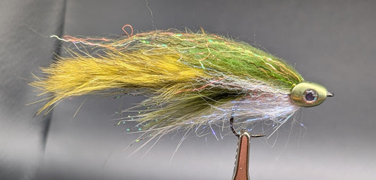 JBR ( Jovi's Baby Rainbow)