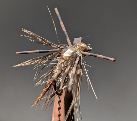 Buggy Hare's Ear